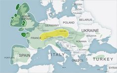 This map shows the expansion of Celtic tribes by 275 A.D. (in light ...