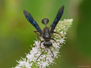 Funny Quotes Contact Dmca...