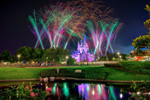 Cinderella Castle Telgip Love