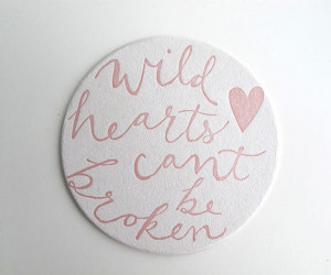 wild hearts can't be broken