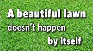 Lawn Mowing Sayings