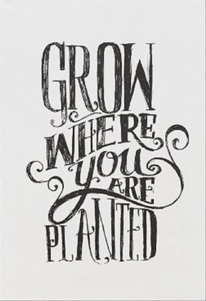 Grow where you are planted