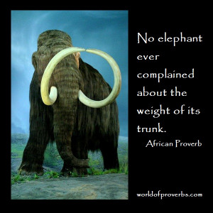 No elephant is burdened by the weight of its tusks.