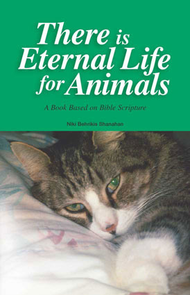 Eternal Life What Does The