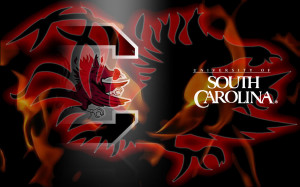 south Carolina gameCocks Image