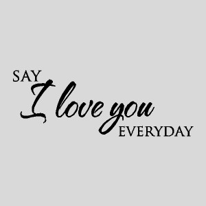 say i love you everyday love wall decal wall lettering wall quotes