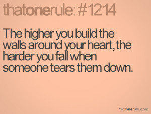 The Higher You Build Walls