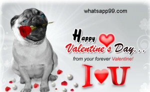 Valentine’s day pug forever valentine