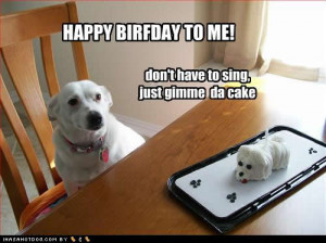 funny Dog Pictures Birfday