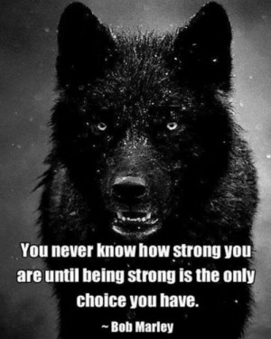 lone wolf quotes life