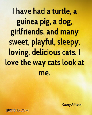 ... -sleepy-loving-delicious-cats-i-love-the-way-cats-look-at-me.jpg
