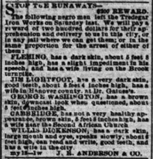 An ad for runaway slaves published on page 4 of the Richmond Daily ...