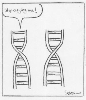 This one is rather simple- an interaction between two DNA molecules ...