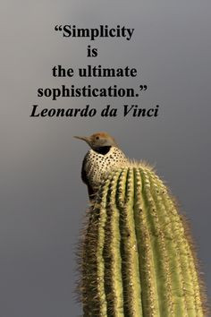 ... desert by Florence McGinn – Enjoy evocative quotes joined with