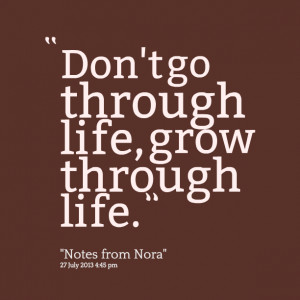 Quotes Picture: don't go through life, grow through life