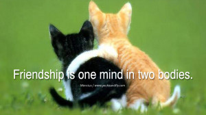 quotes about friendship love friends Friendship is one mind in two ...