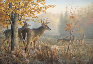 big deer Image