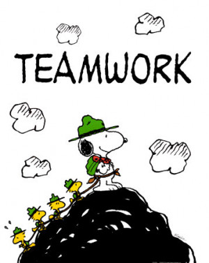 Daily Devotion, June 11, 2011 - Teamwork!