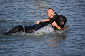 FWC biologist Adam Warwick saves a 375-pound black bear from drowning ...