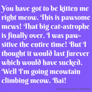 You have got to be kitten me right meow. This is pawsome mews! That ...