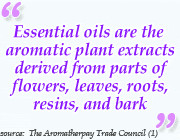 Essential oils are the aromatic plant extracts derived from plants and ...