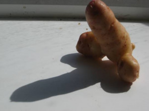 Rude funny pictures, funny quotes and pictures