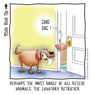 Totally Random Tuesday V – 20 Insanely Funny Images