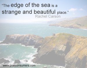 Rachel Carson Quote: The Edge of the Sea