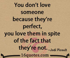 You don't love someone because they're perfect, you love them in spite ...