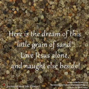 Here is the dream of this “grain of sand” : Love Jesus alone, and ...