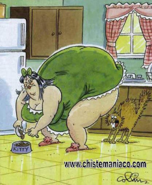 Este gato sí que sufrirá en cualuqier momento