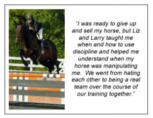 Horse jumping with quote.