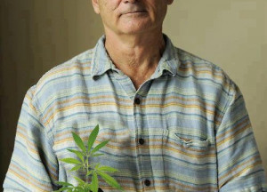 Actor Bill Murrays Views On Marijuana
