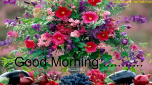 Good Morning Friends..... Have A Very Happy Day Ahead.....