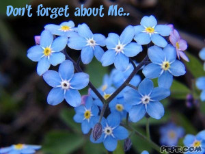 Don't forget about Me..