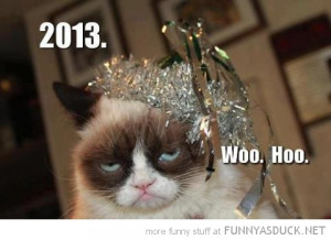 angry grumpy cat tard lolcat animal 2013 new year woo hoo funny pics ...