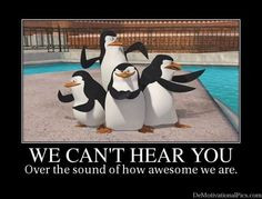 ... private more penguins madagascar funny penguins funny madagascar movie