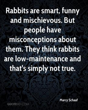quotes about stupid people who think they are smart smart people are