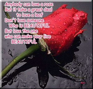 Anybody can love a rose...