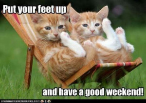 Have a good weekend: Orange Cat, Kitty Cat, The Weekend, Long Weekend ...