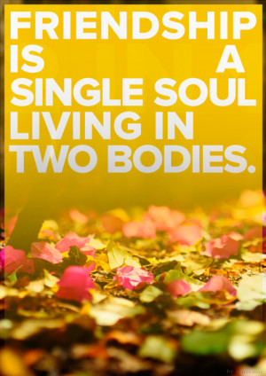 Friendship Is a Single Soul Living in Two Bodies ~ Friendship Quote