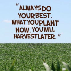 ... quotes Always do your best. What you plant now, you will harvest later