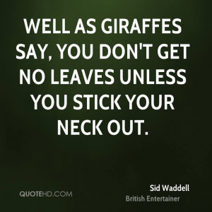 funny british quotes http www tumblr com tagged british quotes