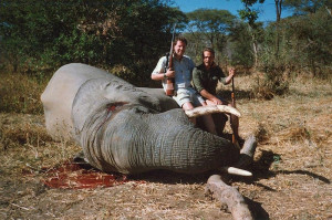 Capstick Hunting The African Elephant