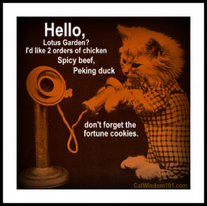 LOL-vintage-cat-kitten-chinese-food-telephone-quote
