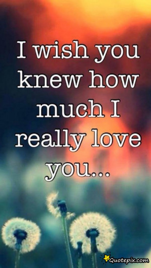 Wish You Knew How Much I Really Love You!