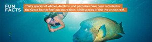 Great Barrier Reef Fact 5