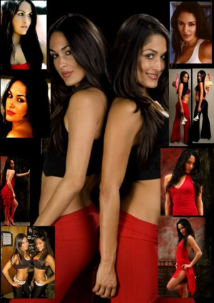 WWE Bella Twins Image