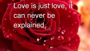 Best 30 Valentines Day Quotes and Sayings of 14 Feb 2015