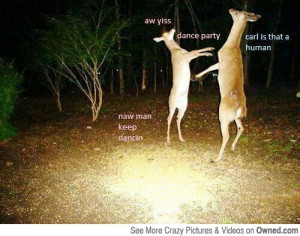 Funny Deer Hunting Meme Tags: deers funny dancing